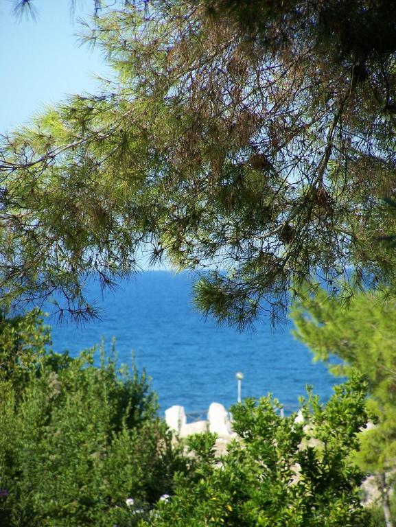 Tenuta Molino Di Mare- Ecoresort Con Villini Rodi Garganico Zewnętrze zdjęcie