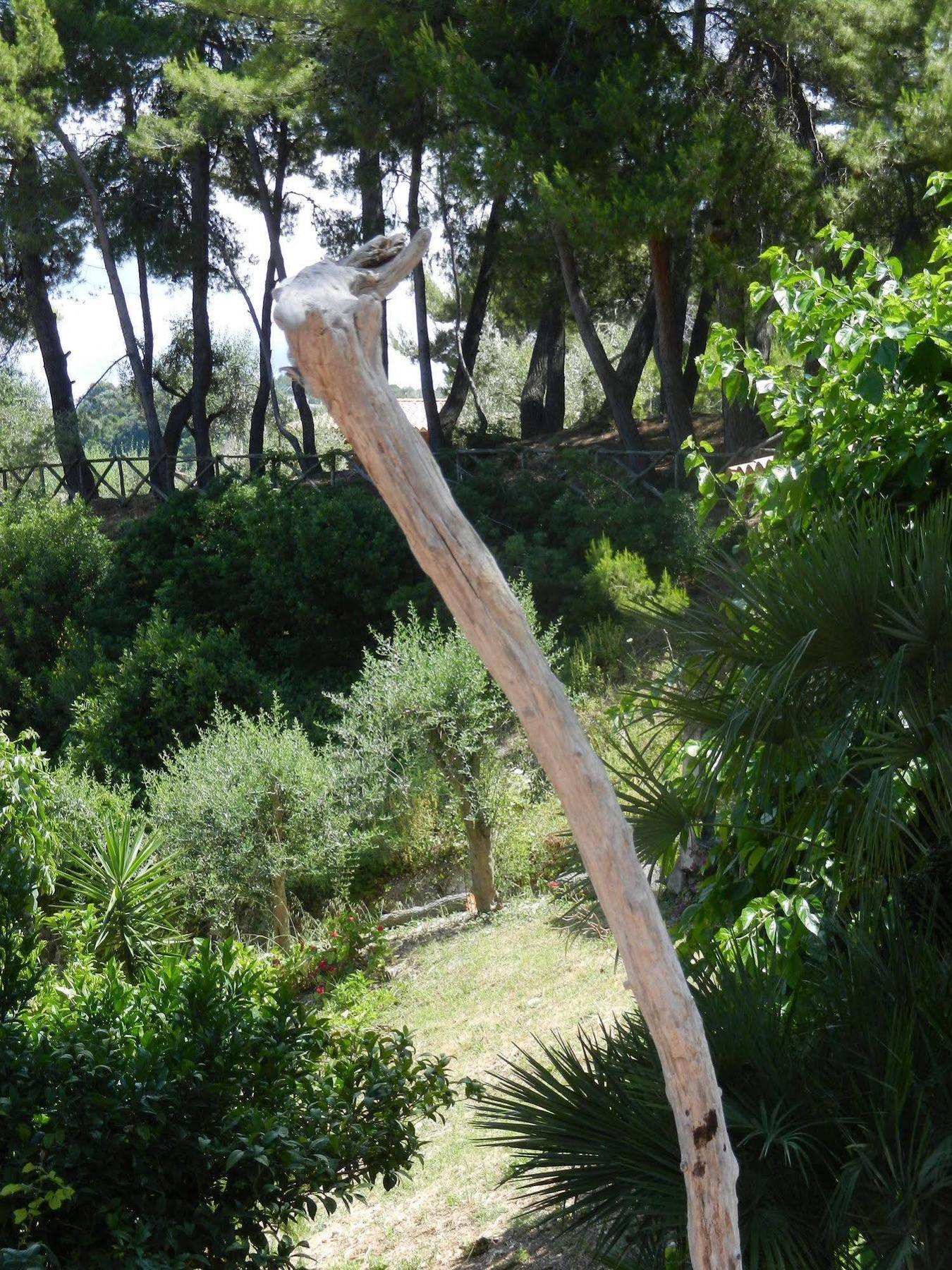 Tenuta Molino Di Mare- Ecoresort Con Villini Rodi Garganico Zewnętrze zdjęcie
